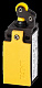 LS-11D/LS